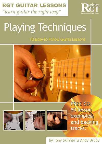 Playing Techniques book cover